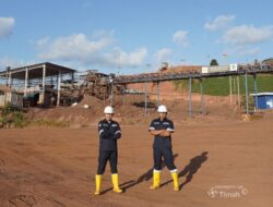 Tingkatkan Kinerja Perusahaan dan Optimalkan Kontribusi untuk Negara, PT Timah Akan Lakukan Hal Ini 