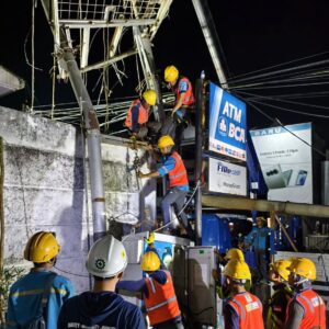 Sinergi Cepat Tanggap, PLN Bersama Pemkot Pulihkan Jaringan Listrik Pasca Kejadian Pohon Tumbang di Pangkalpinang