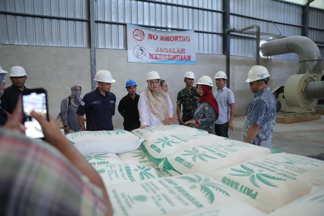 Wagub Hellyana Kunjungi Pabrik Tapioka PT BAA