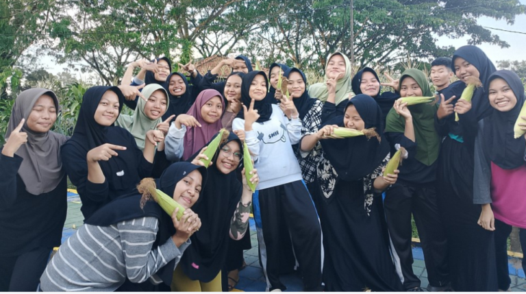 Siswa Pemali Boarding School PT Timah Panen Jagung, Dukung Ketahanan Pangan dan Edukasi Lingkungan