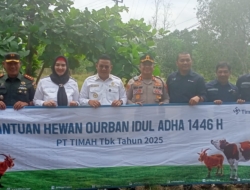 Pererat Silaturahmi, PT Timah Tebar Ratusan Hewan Kurban di Empat Provinsi