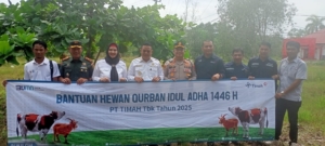 Pererat Silaturahmi, PT Timah Tebar Ratusan Hewan Kurban di Empat Provinsi