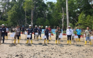 Langkah Nyata PT Timah Dalam Peringatan Hari Lingkungan Hidup Sedunia, Tanam Ribuan Pohon Mangrove di Pesisir Pantai Tanjung Labun Untuk Cegah Abrasi