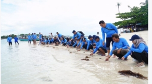 Dukung Pariwisata dan Ekosistem Laut, PT Timah Tbk Bersama AAI Sumbagsel Lepasliar Tukik Sisik di Pulau Kelayang