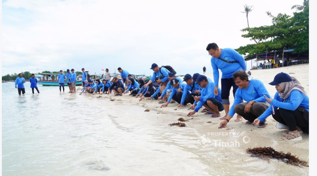 Dukung Pariwisata dan Ekosistem Laut, PT Timah Tbk Bersama AAI Sumbagsel Lepasliar Tukik Sisik di Pulau Kelayang