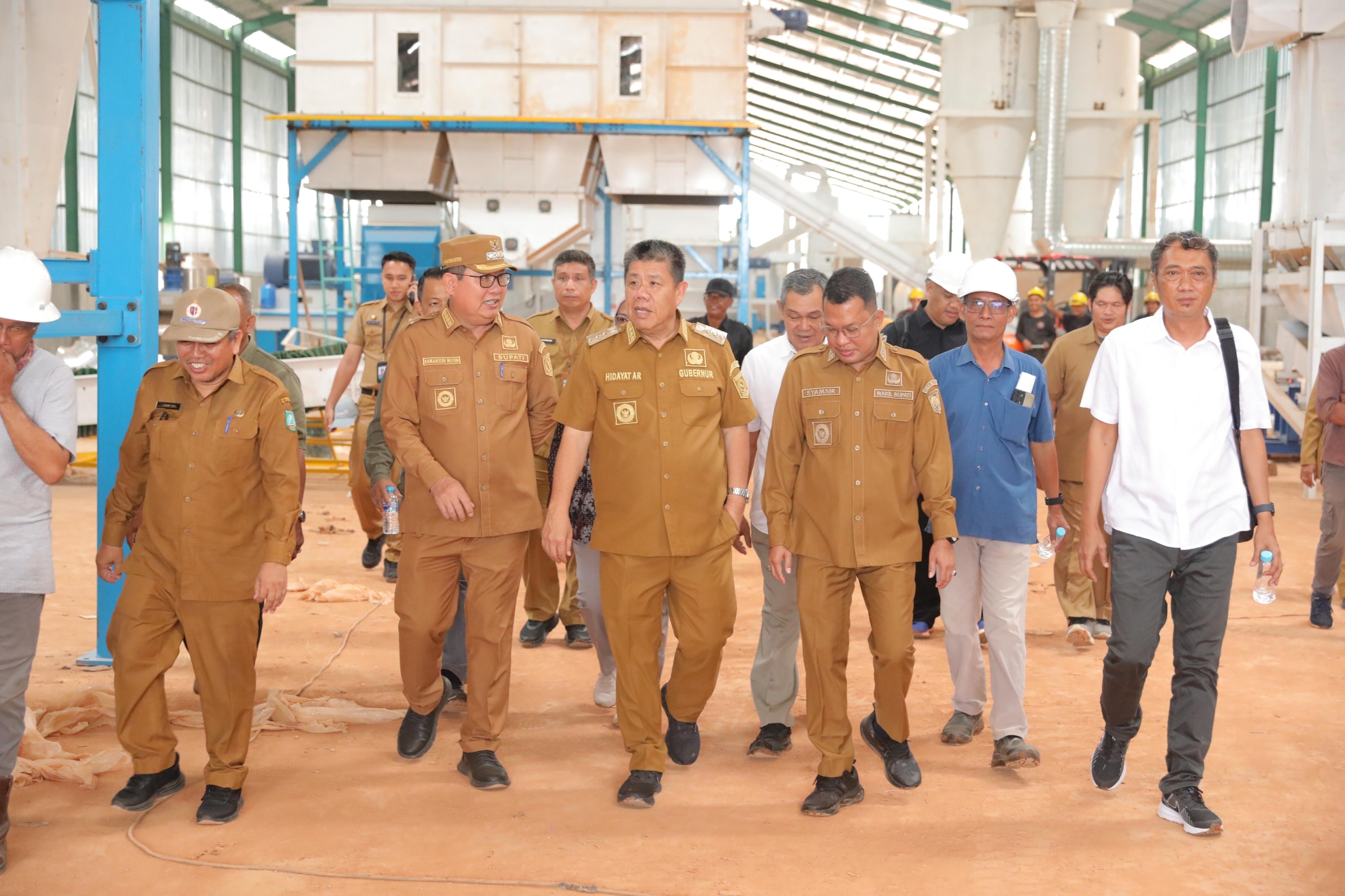 Bulan Depan Gubernur Hidayat Resmikan Pabrik Industri Plywood Sengon Pertama di Babel