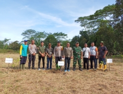 Gerakkan Penghijauan, Pemkot Pangkalpinang dan Formap Babel Tanam Pohon dan Serahkan Pupuk ke Petani
