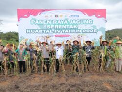 Bukti Nyata Dukung Swasembada Pangan : Gubernur Hidayat Arsani Hadiri Panen Raya Jagung Serentak